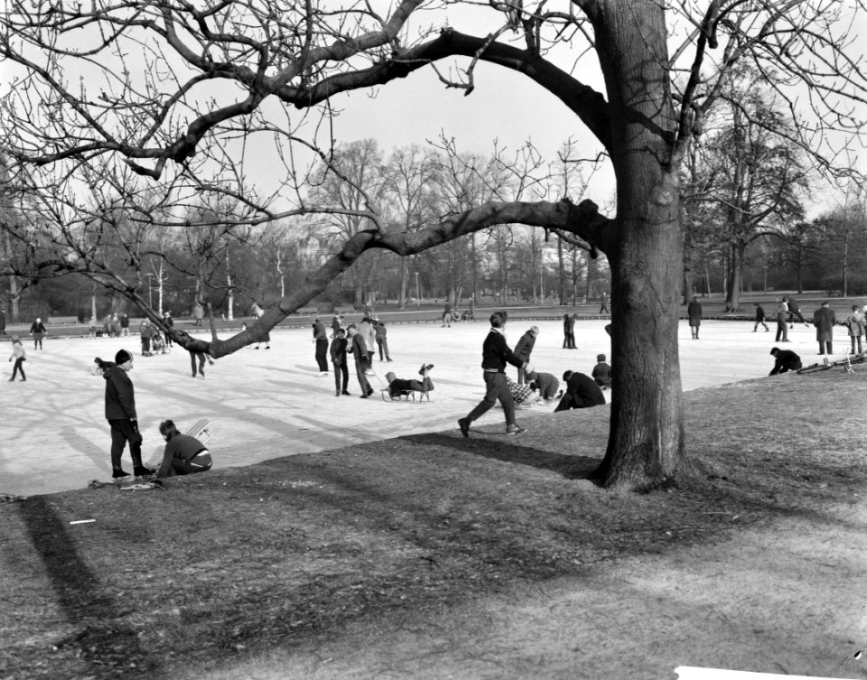IJspret in het Vondelpark, Bestanddeelnr 913-3435