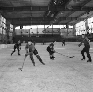 IJshockey in de Apollohal te Amsterdam, Bestanddeelnr 900-8800
