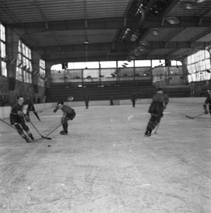IJshockey in de Apollohal te Amsterdam, Bestanddeelnr 900-8811