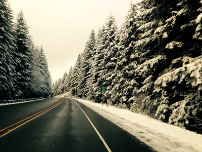 Scenic travel forest