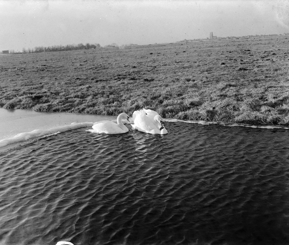 IJsselmeer is niet bevaarbaar, Bestanddeelnr 901-3968