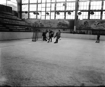 IJshockey in de Apollohal te Amsterdam, Bestanddeelnr 900-8796