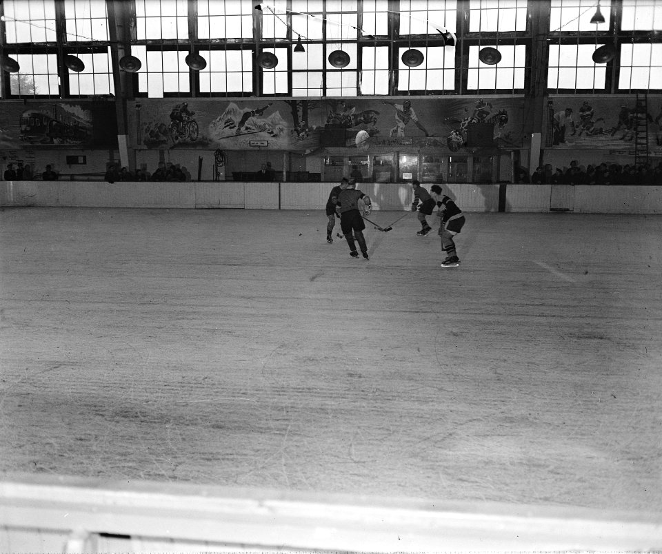 Ijshockey in de Apollohal te Amsterdam, Bestanddeelnr 900-8795