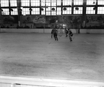 Ijshockey in de Apollohal te Amsterdam, Bestanddeelnr 900-8795