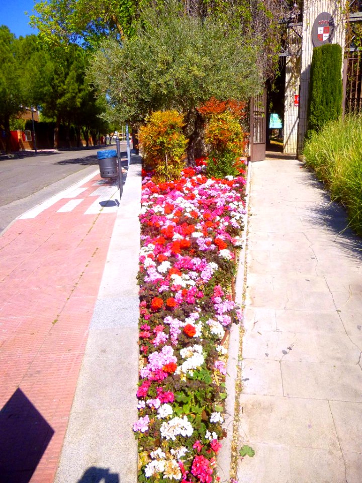 Illescas - Parque Manuel de Vega 03