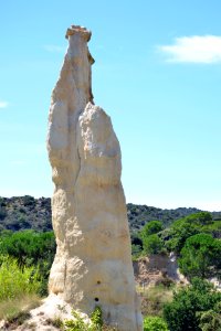 Ille-sur-Têt Orgues 27072014 09