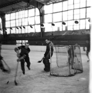 IJshockey in de Apollohal te Amsterdam, Bestanddeelnr 900-8839