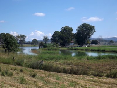 Il-bogan Lagoon at Beaudesert, Queensland photo