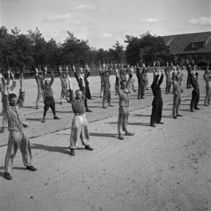 In het strafkamp te Vught, zijn 7000 Nederlandse collaborateurs en landverraders, Bestanddeelnr 900-4268