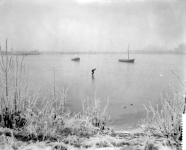 IJsselmeer bij Schellingwoude dichtgevroren, Bestanddeelnr 910-1516