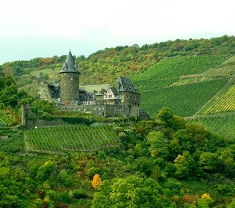 Germany view wine