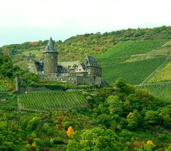 Germany view wine photo