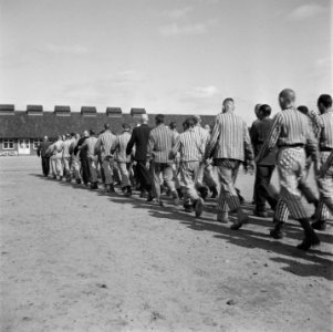In het strafkamp te Vught, zijn 7000 Nederlandse collaborateurs en landverraders, Bestanddeelnr 900-4283