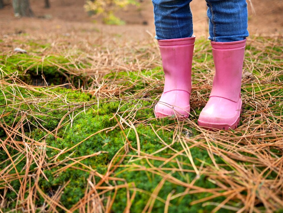 Autumn boots forest