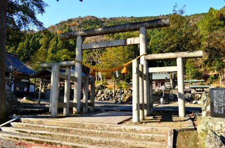 Ikagu-jinja, torii-2