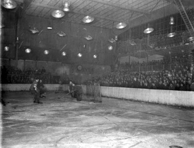 IJshockey, Bestanddeelnr 901-9874
