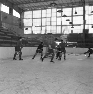 IJshockey in de Apollohal te Amsterdam, Bestanddeelnr 900-8803