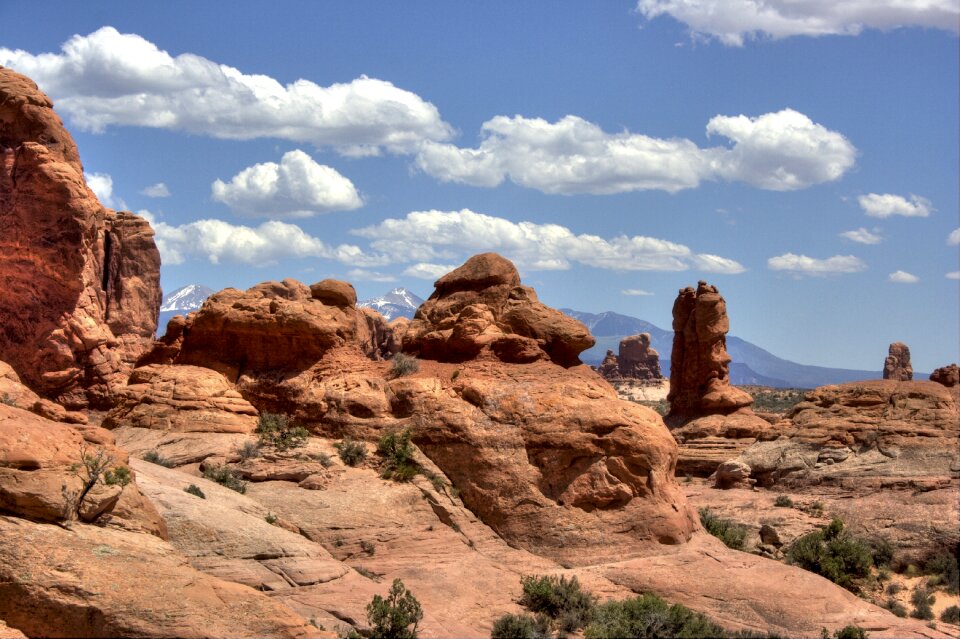 Desert nature rock