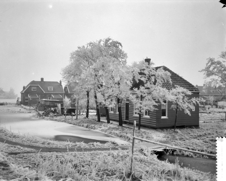 IJsselmeer bij Schellingwoude dichtgevroren, boerderij met bomen met rijp, Bestanddeelnr 910-1518