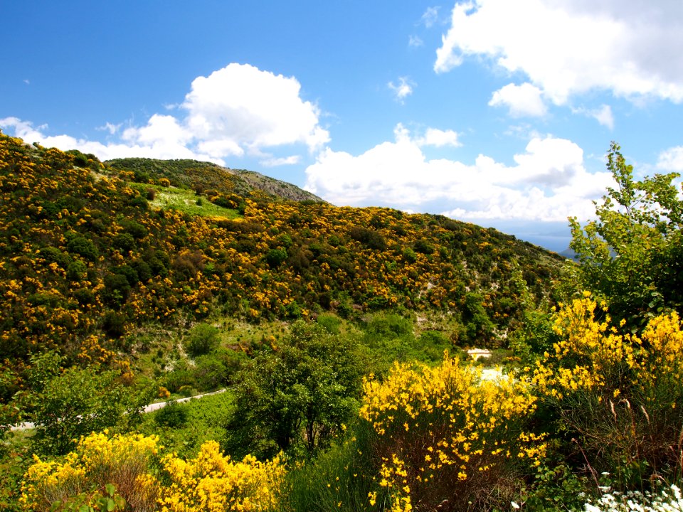 In the mountains of Lefkada, pic1