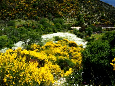 In the mountains of Lefkada, pic3