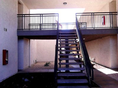 IMG-20151128-WA0010-placentia