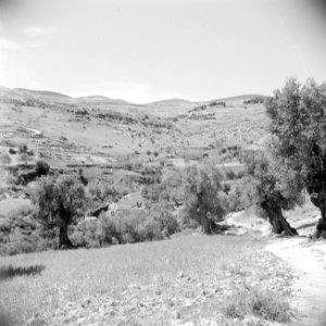 In het landschap van Gilead, Bestanddeelnr 255-5686