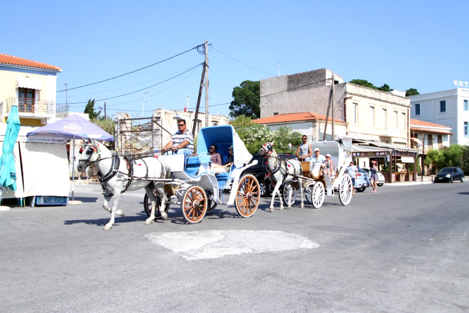 IMG-6877-aegina-greece-august-2017