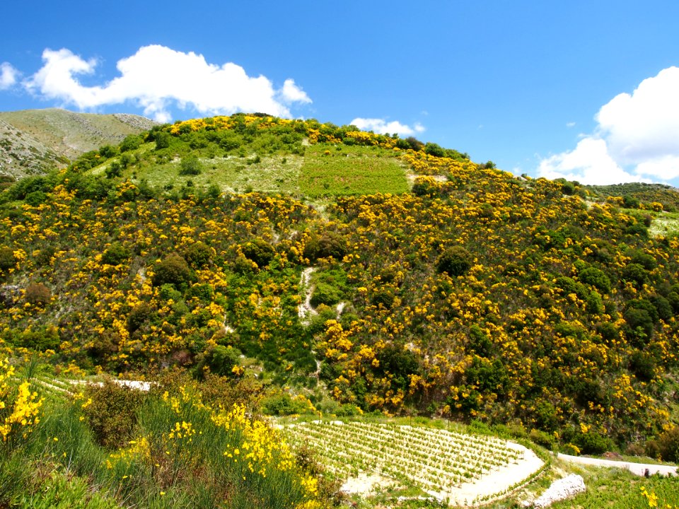 In the mountains of Lefkada, pic2