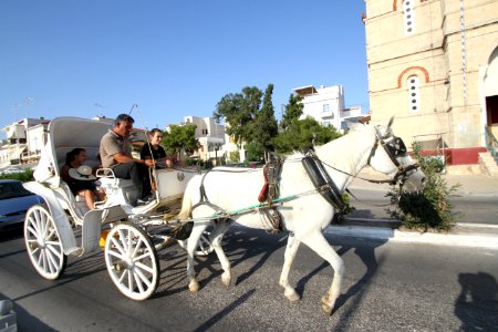 IMG-6918-aegina-greece-august-2017