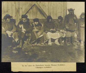 In het door de Duitschers bezette Dorpat (Lijfland). Lijflandse houthakkers Dor, Bestanddeelnr 158-0556