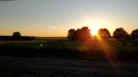 IMG-20180601-WA0024-moscow-oblast-mikhnevo-june-2018