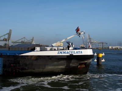 Immaculata (ship, 2008) ENI 02331206 Hartelhaven Port of Rotterdam pic13
