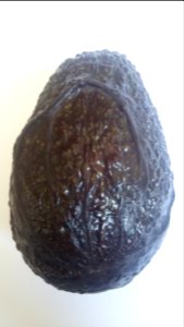 Imperfect Avocado - Wrinkle1 E