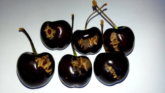 Imperfect Cherries - 6