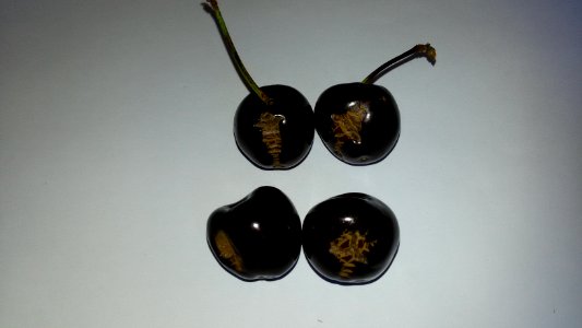 Imperfect Cherries - 4 B