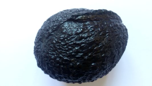 Imperfect Avocado - Wrinkle2 B