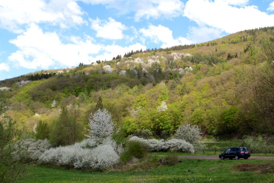 Impressionen Ahrtal (bei Liers) 2013-05-05-2895