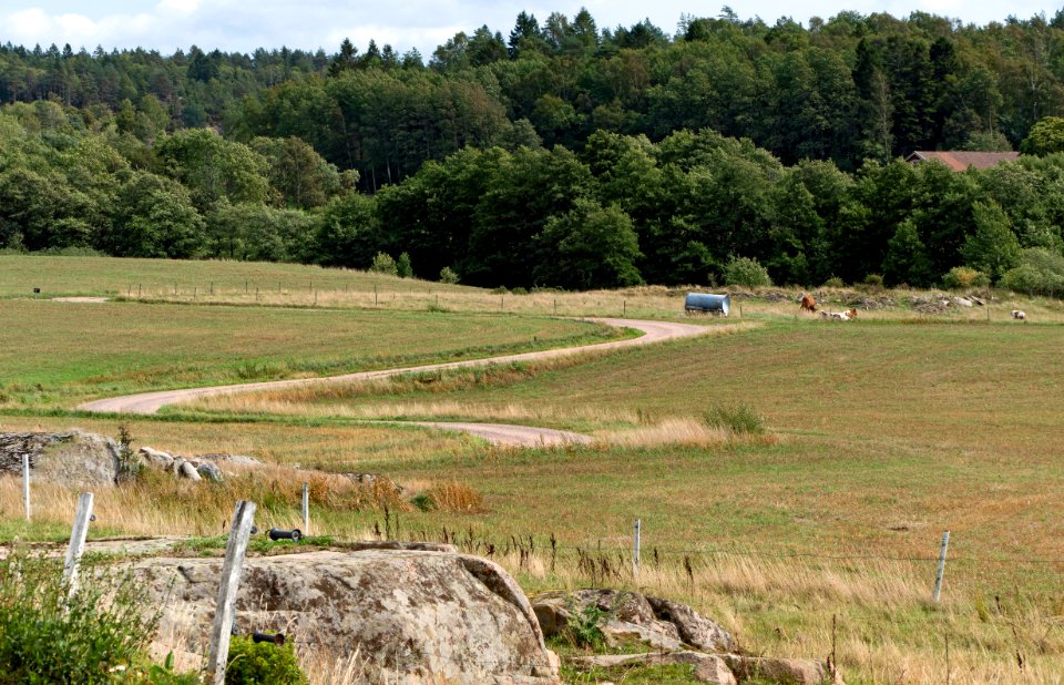 Immestad landscape 4