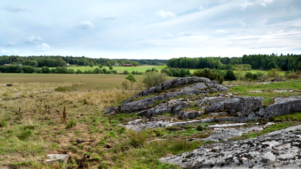 Immerstad landscape 2