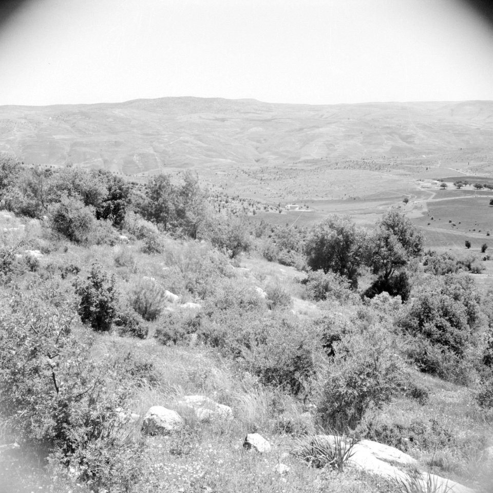 In het landschap van Gilead, Bestanddeelnr 255-5690