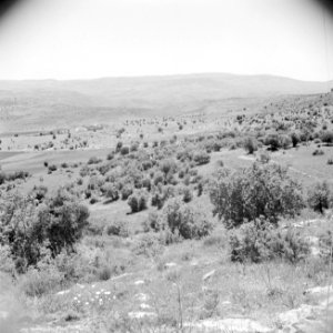In het landschap van Gilead, Bestanddeelnr 255-5689