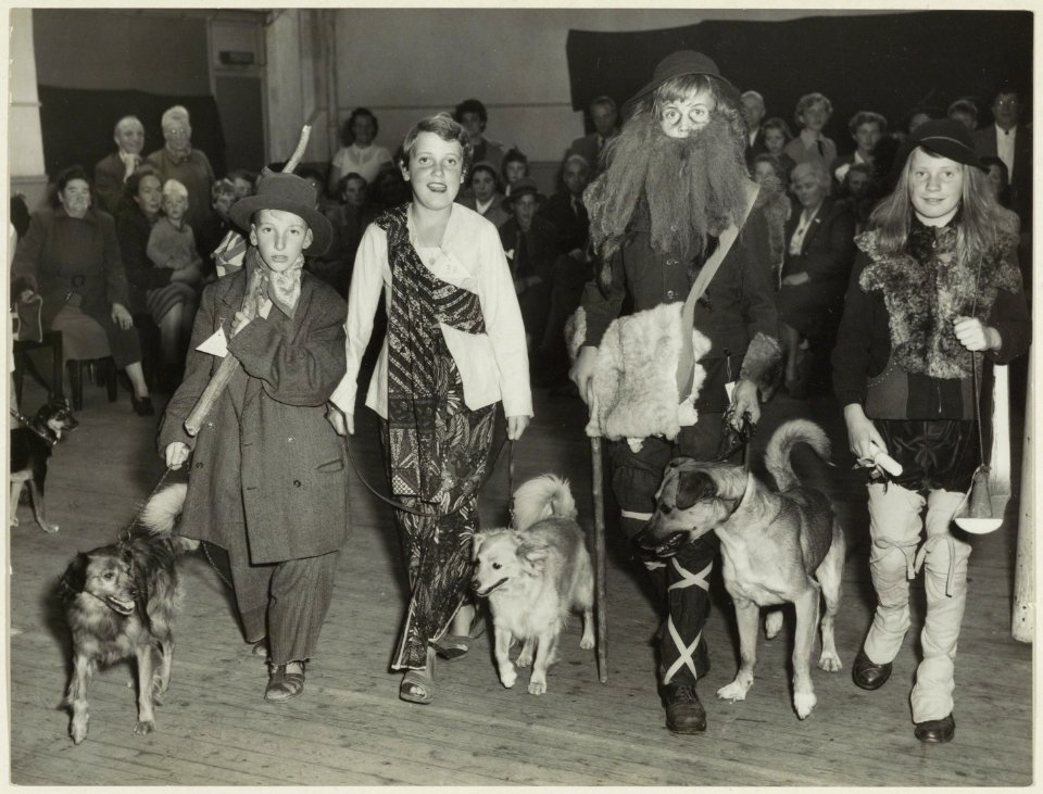 In het Krelagehuis heeft de afdeling Haarlem van de Dierenbeschermiong op 3 oktober 1953 een wedstrijd gehouden Best verzorgde en opgevoede hond, waarbij tevens op een origineel costuum w, NL-HlmNHA 54004065