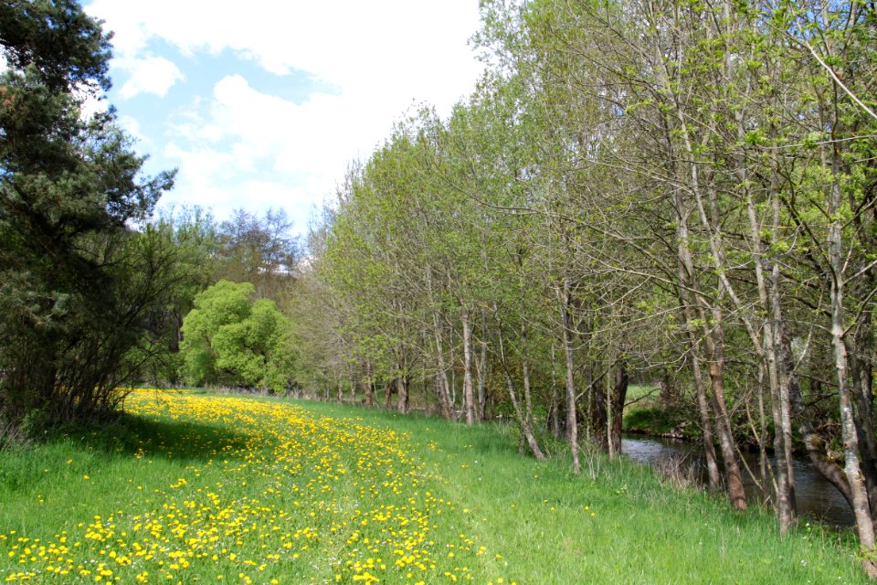 Impressionen Ahrtal (bei Liers) 2013-05-05-2889