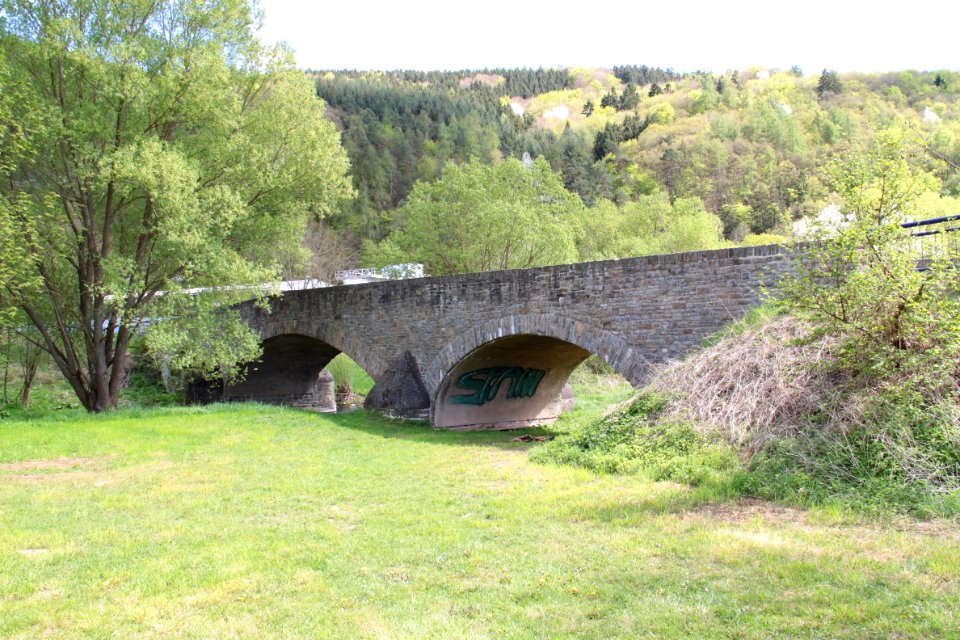 Impressionen Ahrtal (bei Liers) 2013-05-05-2890