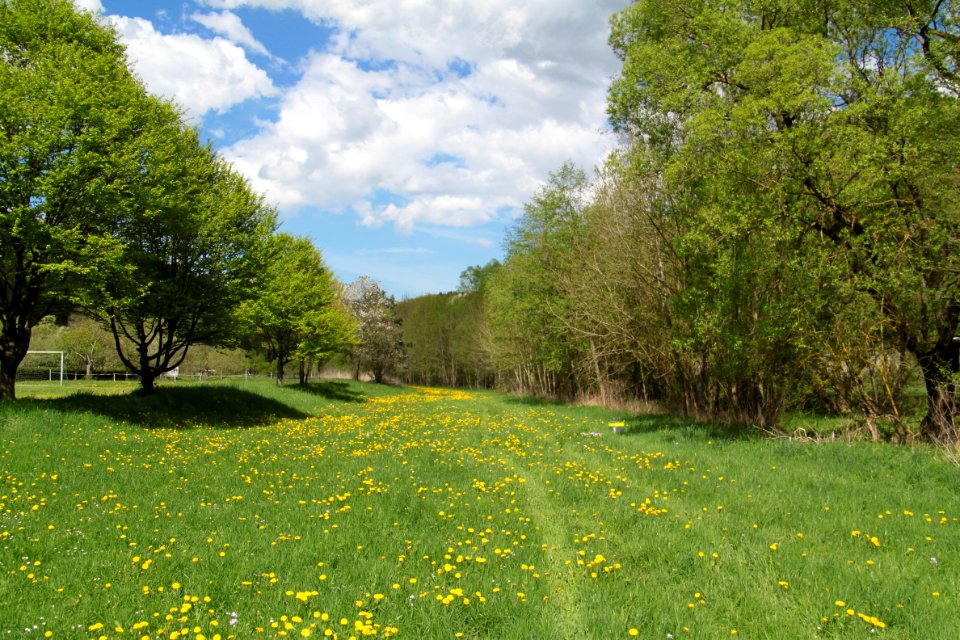 Impressionen Ahrtal (bei Liers) 2013-05-05-2878