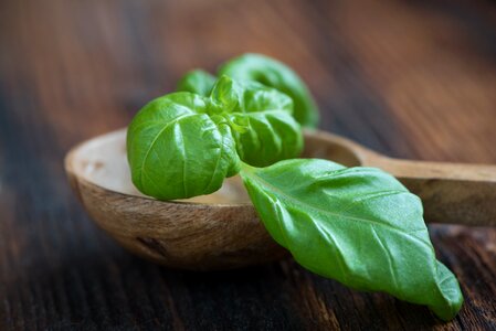 Basil leaf healthy eat