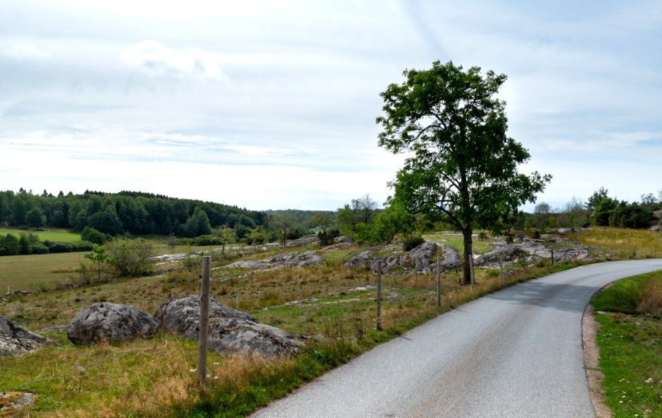 Immestad landscape 1