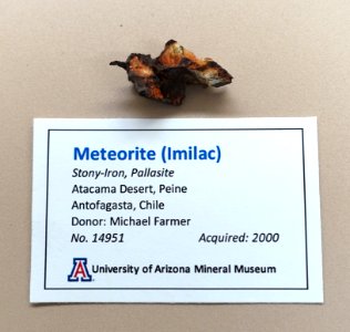 Imilac meteorite, Chile - University of Arizona Mineral Museum - University of Arizona - Tucson, AZ - DSC08485