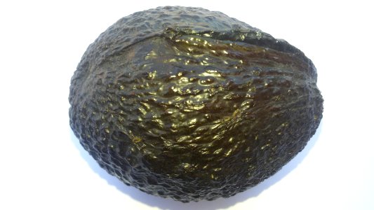 Imperfect Avocado - Wrinkle2 C